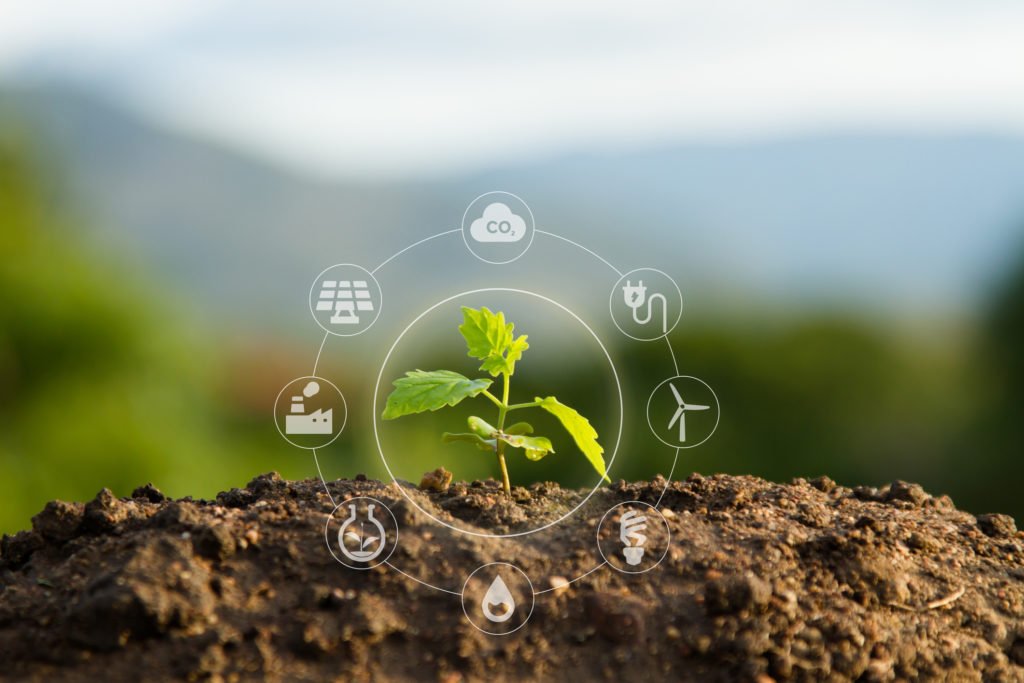 Protección Ambiental